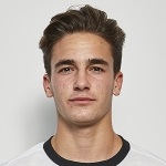 佩德罗·阿莱马尼